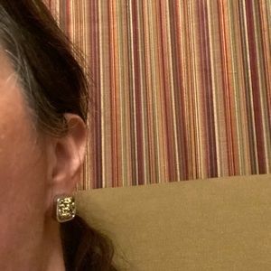 Drusy earrings gold color silver tone setting